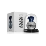 Lattafa Pride Thouq Eau de Parfum — fragancia unisex elegante y moderna con notas florales, ambaradas y almizcladas; perfume de larga duración que refleja lujo y sofisticación en frasco plateado con tapa en forma de rosa azul bajo cúpula transparente.